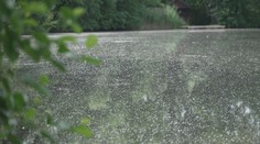 Kvalita vody v přírodních koupalištích klesá. Na desítkách platí zákaz