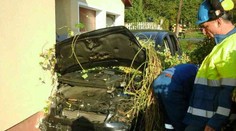 Řidič se zabil nárazem do domu, předtím "pokácel" přívod plynu