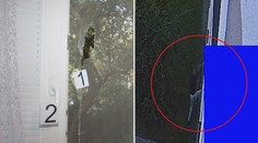 Lezl oknem do bytů a odnesl si věci za milion korun, policie ho dopadla