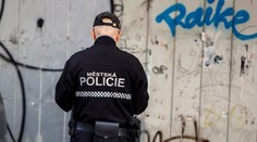 Strážníci v Děčíně zaklekli opilého muže. Nepřiměřený zákrok, stěžují si lidé