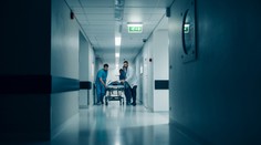 Ženu kousl hmyz. Do hodiny byla mrtvá, nepomohl ani lékař s vrtulníkem