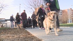 Ve Zlíně omezili pohyb psů: Půlka lidí se bouří, půlka souhlasí!
