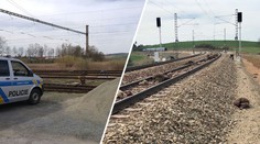 Žena zemřela po pádu z rychlíku. U Berouna zabil vlak 40 ovcí