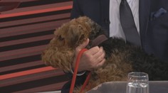 Havlíček ukázal ve studiu čerstvě vykoupanou Betynu. Vzal ji i na ministerstvo