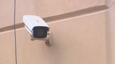 Zacházení s dobytkem na jatkách má být monitorováno, navrhují europoslanci
