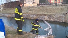 Z továrny na Sokolovsku unikla zapáchající látka. Lidé zvrací
