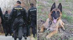 Policisté se zaměřují na chatové oblasti: Pomáhají i služební psi