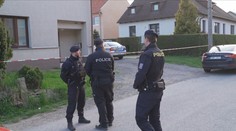 Příbývá vražd v rodinách. Dříve se staly ojediněle, loni jich bylo minimálně pět
