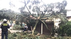 Českem se valily prudké bouřky. Na Berounsku vítr lámal stromy