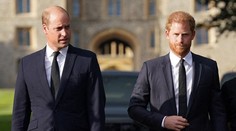 Skutečný důvod sváru mezi Williamem a Harrym. Expert popsal zásadní problém
