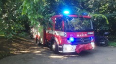 Znečištěný rybník v Praze: Ve vodě byly mrtvé ryby, na místo vyjeli hasiči