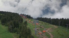 Za nelegální vykácení lesa přišel trest. Lesy Jáchymov zaplatí milionovou pokutu