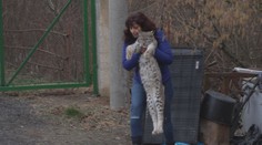 Chovateli z Radhoště zabavili zubožená vzácná zvířata. Je podezřelý z týrání