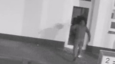 Bleskový zásah ostravské policie. Jen několik minut po krádeži lupiče dopadla