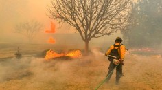 V Texasu zuří velké lesní požáry! Oheň zničil tisíce čtverečních kilometrů půdy