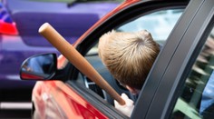 Šílenec jezdil v tesle a napadal řidiče kovovou tyčí. Stráví pět let za mřížemi