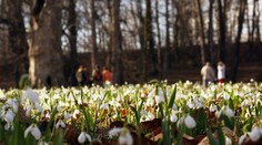 Měsíční výhled: Jaro už klepe na dveře. Teploty budou nadprůměrné