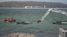 Boj o život uvízlé velryby na německé pláži. Nedaří se ji vyprostit už několik dní