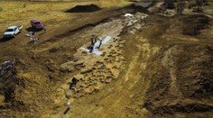 V Austrálii našli stopy dinosaurů! Jsou staré 100 milionů let