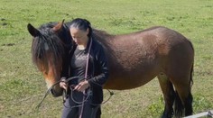 Українка врятувала 6 коней з окупованого Ірпеня