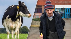 Muž (80) má zákaz vstupu na farmy. Znásilňoval krávy pěstí