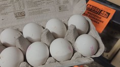 Nákup v Polsku může vyjít skoro o půlku levněji. Češi jezdí pro jídlo i květiny