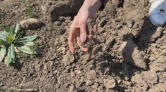 Ústecký kraj trápí sucho. Problémy hlásí zahrádkáři, pěstitelé i chmelaři