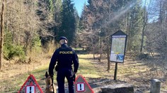 Poláci nelegálně překročili hranice do Česka, v autě projížděli lesem