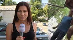 Drsný útok na reportérku TV Nova! "Urvu vám hlavu!" řval muž