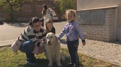 Hledaný retrívr Majka je v pořádku doma. Majitel fenky neskrýval slzy dojetí