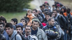 Přehled o migrantech: Tohle o sobě budou muset prozradit