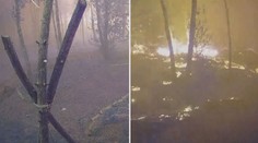 Unikátní video požáru, jak zničil les minutu po minutě! Takto rychle se šířil