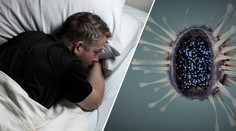 Jsme na pokraji smrtící epidemie, varují zdravotníci! Šíří se mor