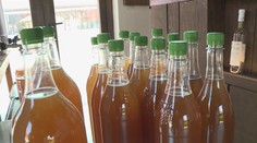 Inspektoři kontrolovali burčák, skoro polovina prodejců porušila předpisy