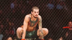 Revoluční tréninky v MMA! Pomůžou opičí dráhy k lepším výkonům?