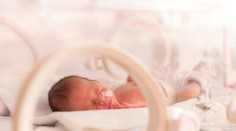 V Krakově se narodila šesterčata, jde o první případ v Polsku