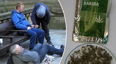 Zombie droga znovu v Česku! Přiotrávil se mladík z Opavska