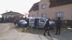 V Hradci Králové někdo tráví psy. Návnady hází na zahrady domů