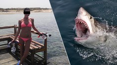 Turistka Iva o útoku žraloka: Jsou tu atrakcí, bezpečí nikdo neřeší!