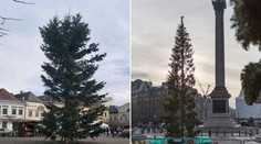 Ještě horší než Bruntál? V Londýně jsou zděšení z děravého stromku