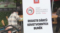 Madlenka (2) stále hledá dárce. V zoo se jich do registru přihlásily desítky