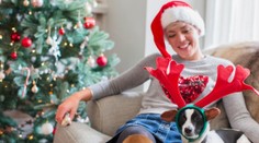 Zvířata u stromečku často trpí. Pozor na některé kosti nebo čokoládu