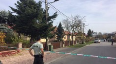 Útok sekerou! Zdrogovaný mladík zabil ženu, další dva muže zranil
