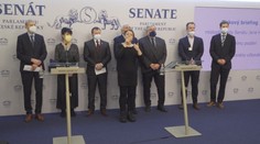 Senátoři podají ústavní stížnost na povinné očkování. Rozděluje společnost, tvrdí