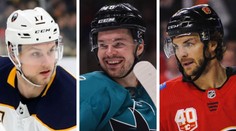 Hronek za Hradec a Hertl v Liberci? V NHL se nabízí malá výluka!