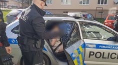Z vraždy tříleté dívky obvinili policisté matku. Zveřejnili další podrobnosti k případu