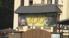 Přijde ústecká zoo o ředitele i vzácná zvířata? Kontroly ukázaly nedostatky