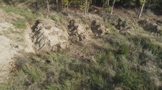 Česká krajina nezadržuje vodu. Odborníci kvůli tomu chtějí zavést opatření