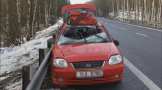 Žena nabourala do stáda divočáků. Experti ji chválí za správnou reakci!