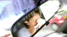 Trpíte jarními alergiemi? Tyto rady vám mohou pomoci při řízení